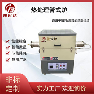 1719295379236364.jpg 主圖300.jpg